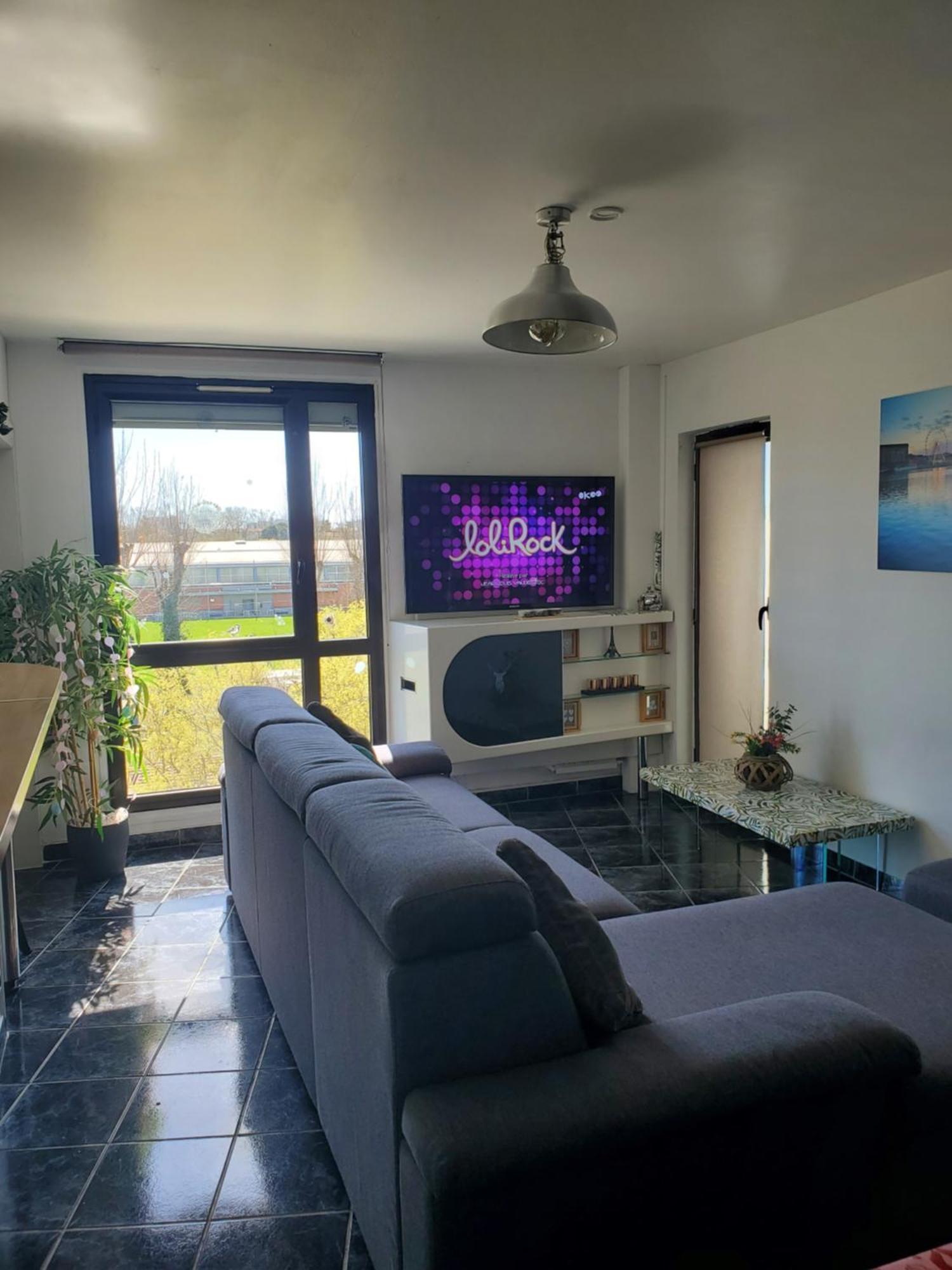 Appartement Cosy Entierement Equipe Toulouse Exterior foto